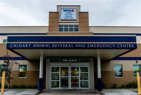 emergency vet|Calgary Emergency Vet .